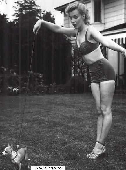 Marylin Monroe - Xao - Vedete straine