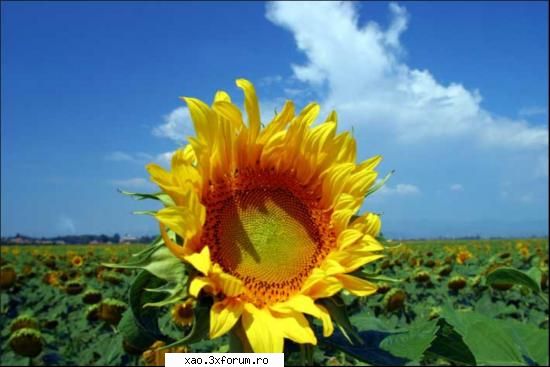 Romania - tara de vis - Xao - Poze diverse din Romania