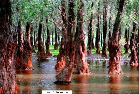 Romania - tara de vis - Xao - Poze diverse din Romania
