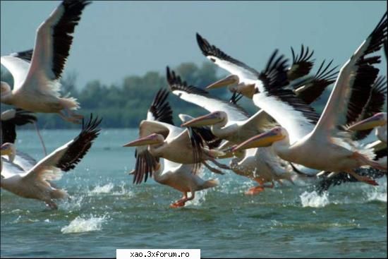 Romania - tara de vis - Xao - Poze diverse din Romania