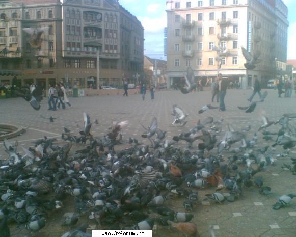 Timisoara-orasul de pe Bega - Xao - Poze diverse din Romania